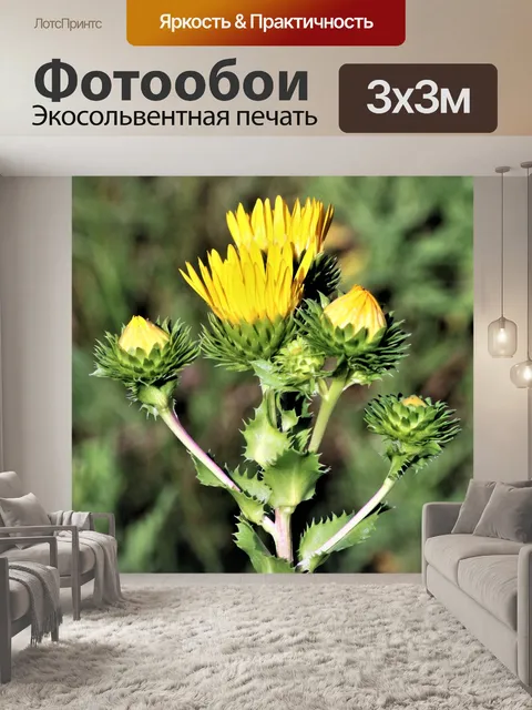 Фотообои Воск Полевые цветы Голденведа