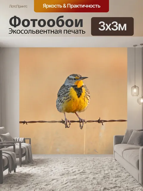 Фотообои Восточный луговой жаворонок