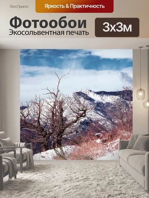 Фотообои Зимы
