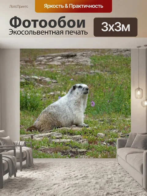 Фотообои Marmott