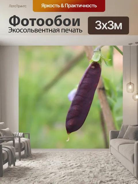 Фотообои Природа