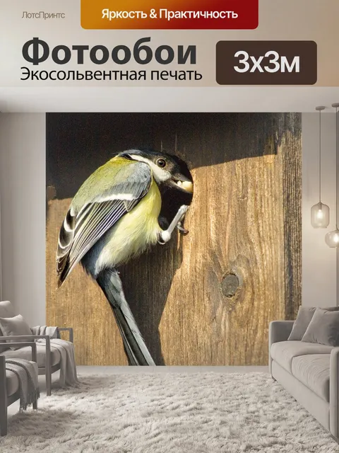 Фотообои Большая синица