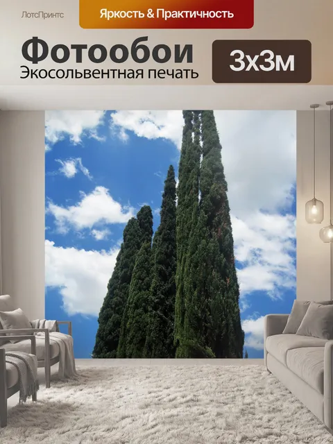 Фотообои высокие кипарисы