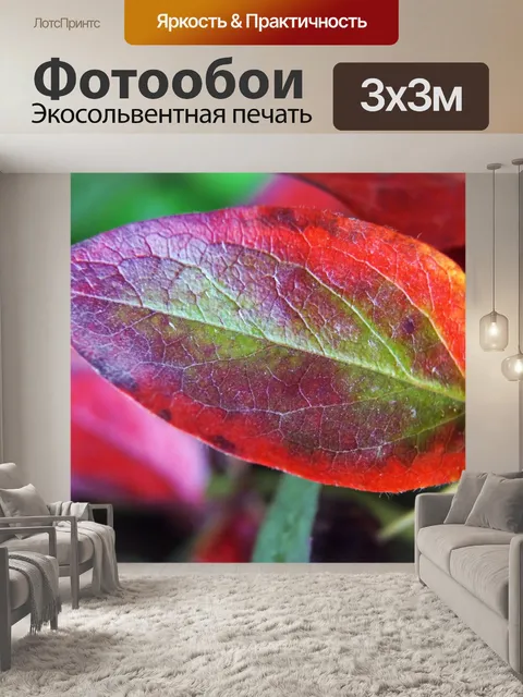 Фотообои Красочные листья