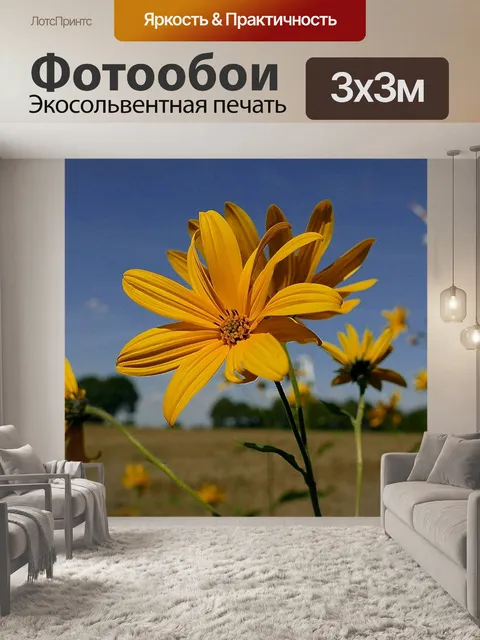 Фотообои Цветок