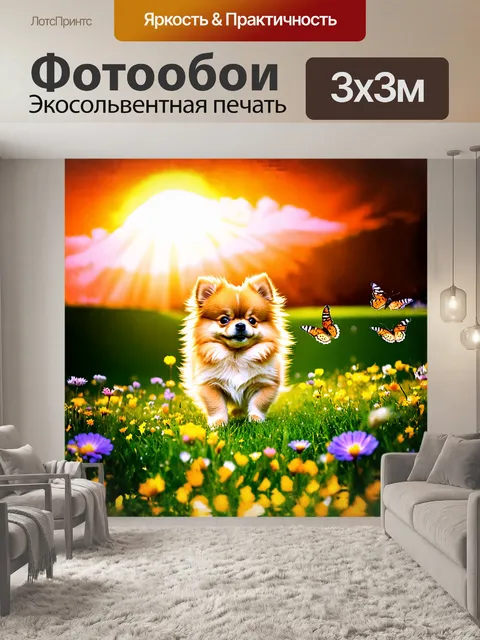 Фотообои в кадре запечатлен маленький померанский шпиц