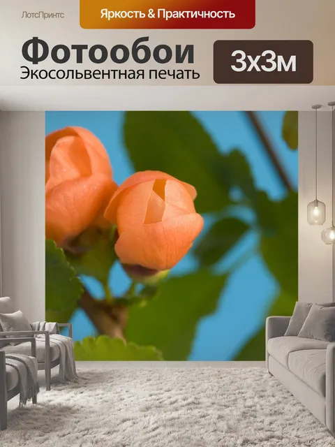 Фотообои Бутон
