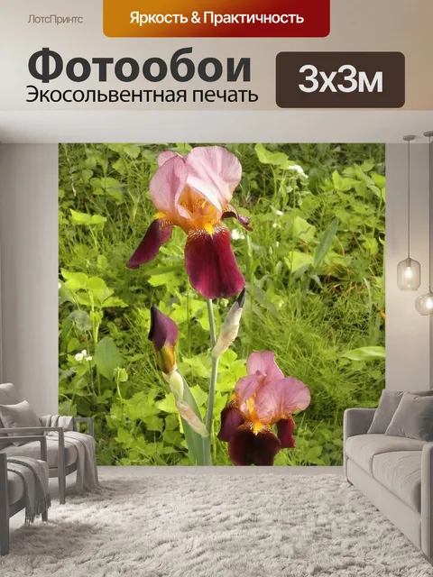 Фотообои Ирис