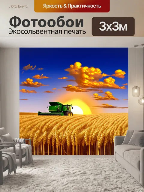 Фотообои вечерние сумерки над полем пшеницы, где комбайн джон дир продолжает работу