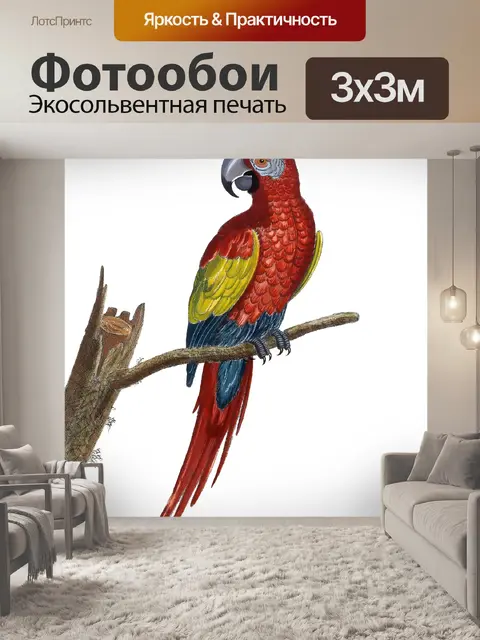 Фотообои Алый Ара Рисование