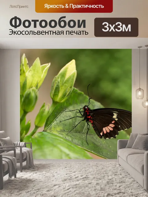 Фотообои Сад бабочек бенальмадена