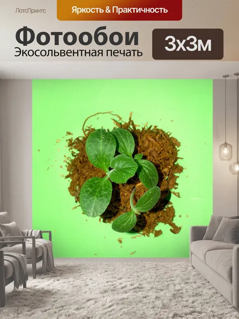 Фотообои Молодое дерево