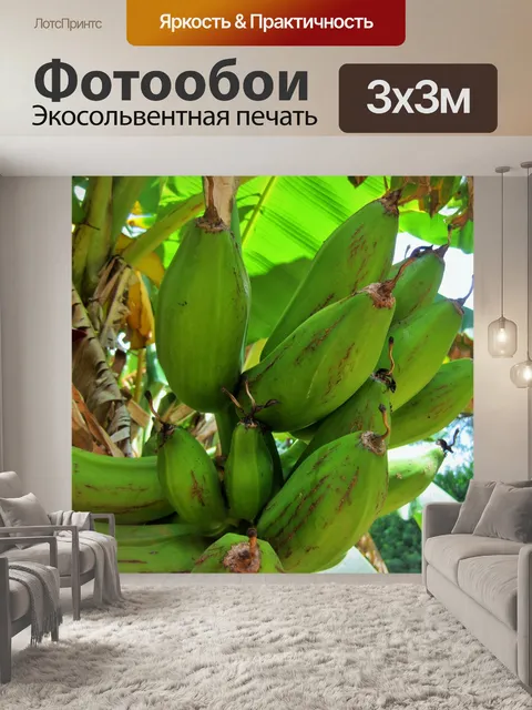 Фотообои бананы на бананового дерева