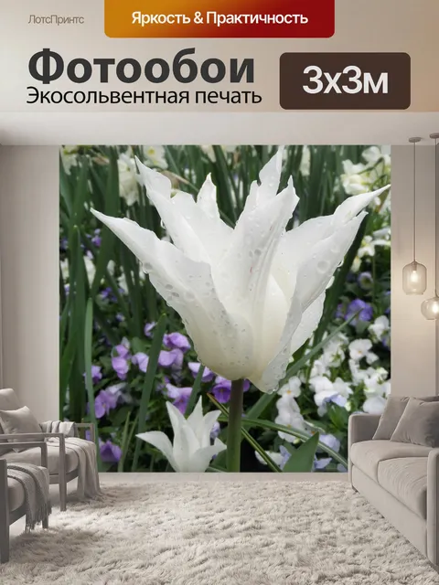Фотообои Тюльпан