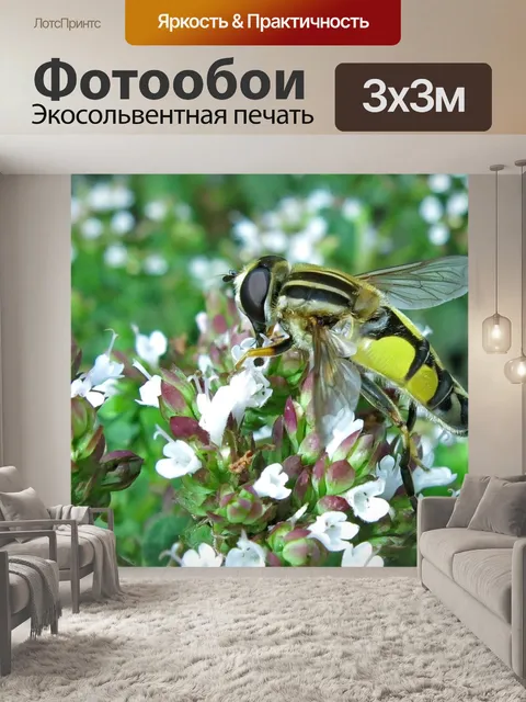 Фотообои Большое болото левитация муха