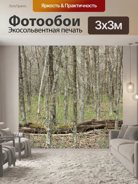 Фотообои Падшее дерево в лесу