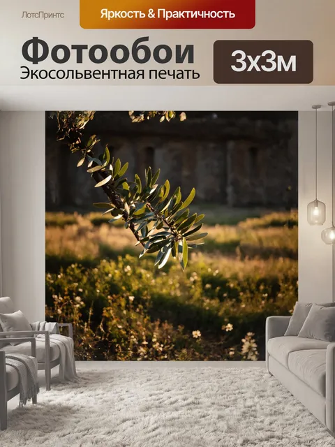 Фотообои ветвь оливкового дерева