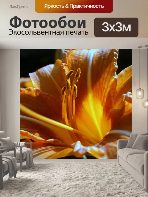 Фотообои Лили