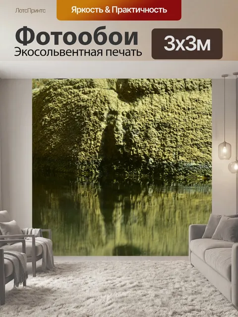 Фотообои Скала, покрытая зелеными водорослями