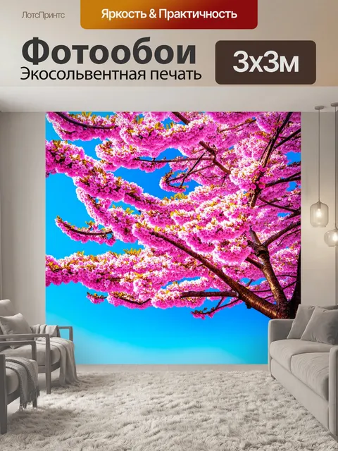 Фотообои дерево, укрытое роскошными розовыми цветами сакуры, на фоне светлого голубого неба