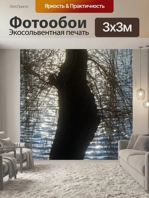 Фотообои Силуэт