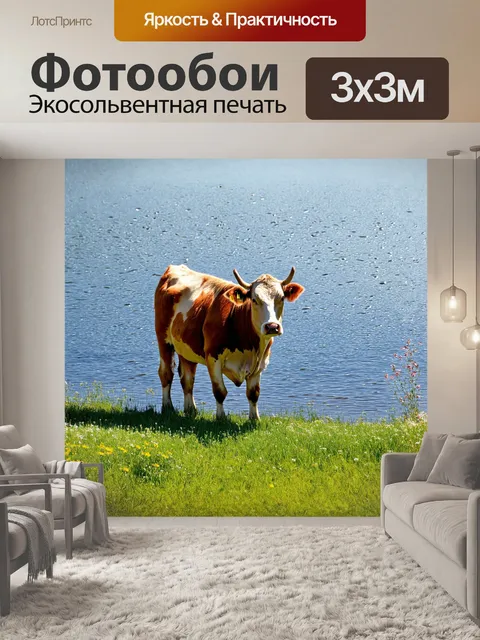 Фотообои корова, стоящая на лужайке у воды, внимательно смотрит на отражение в спокойной поверхности озера