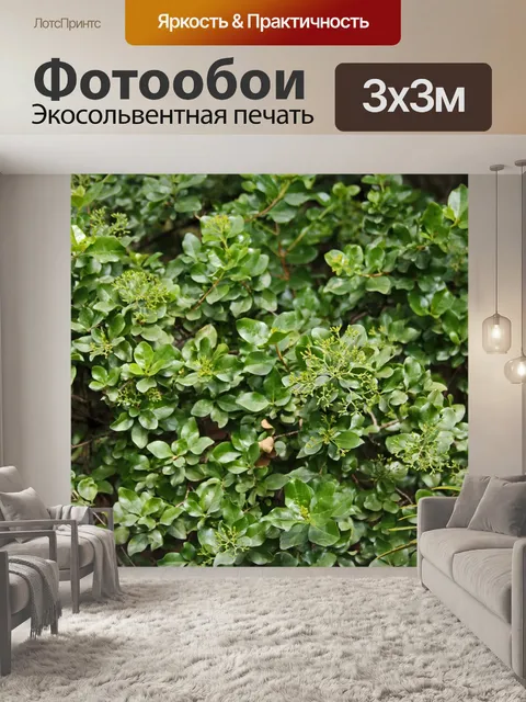 Фотообои зеленые листья с цветочными гроздьями