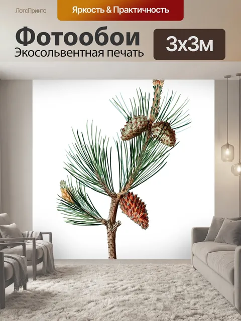 Фотообои Винтажный клипарт еловые ветки шишек