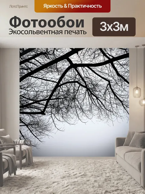 Фотообои черный с ветвями деревьев в зимнем состоянии