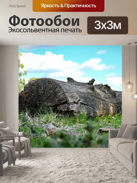Фотообои Ствол