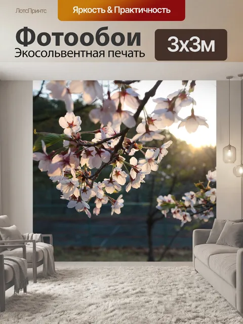 Фотообои Япония