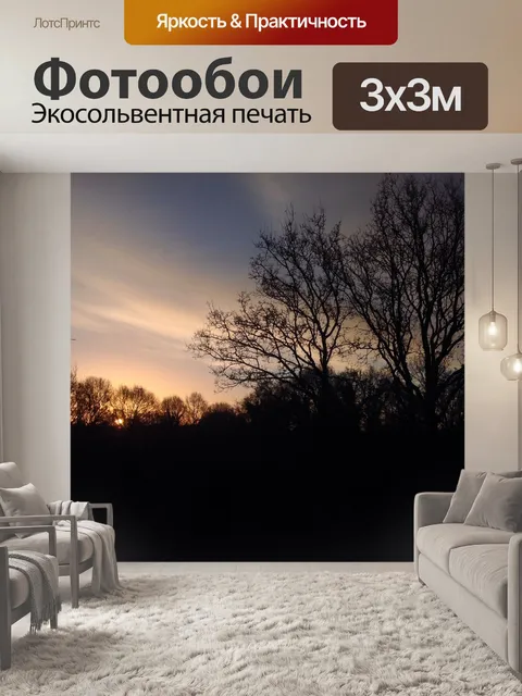 Фотообои Утреннее настроение