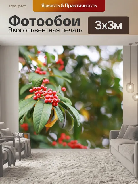 Фотообои Ягода
