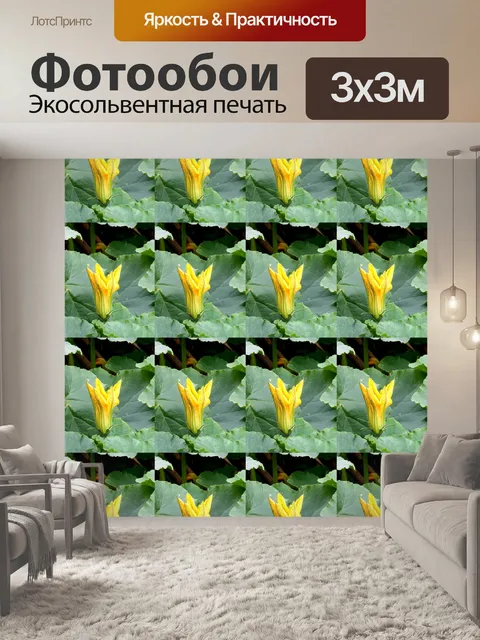 Фотообои Тыква цветок повтор