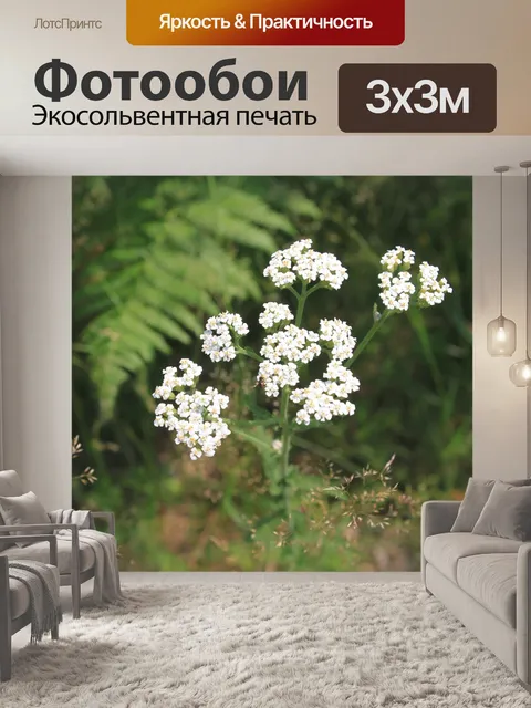 Фотообои Achillea