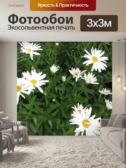 Фотообои Сад ромашка
