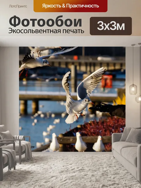 Фотообои Птицы
