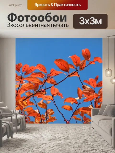 Фотообои Природа