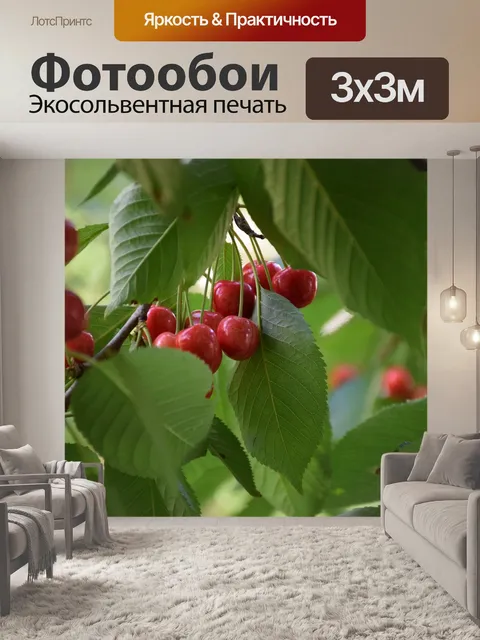 Фотообои Вишня