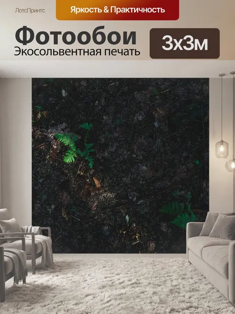 Фотообои Земля