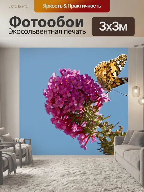 Фотообои Бабочка