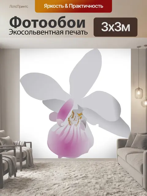 Фотообои Бабочка