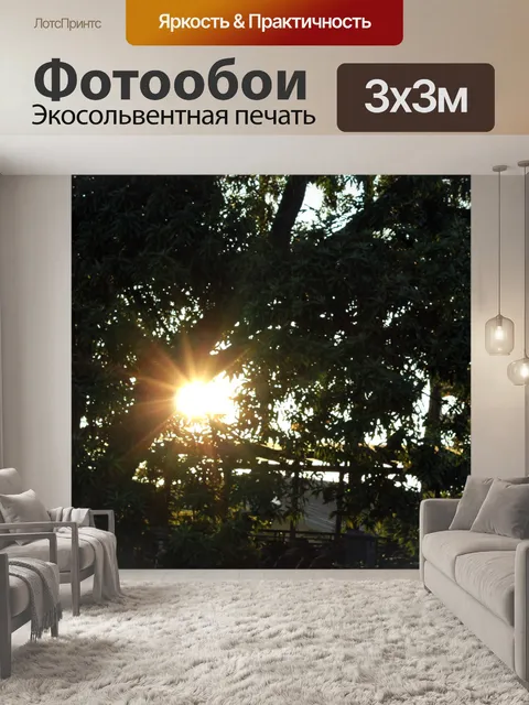 Фотообои вс 5