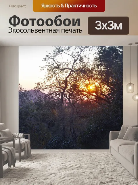 Фотообои Восход солнца 8