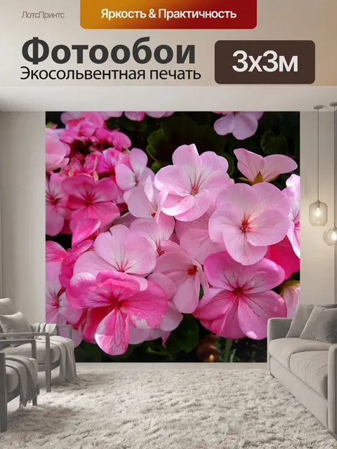 Фотообои Розовые летние цветы