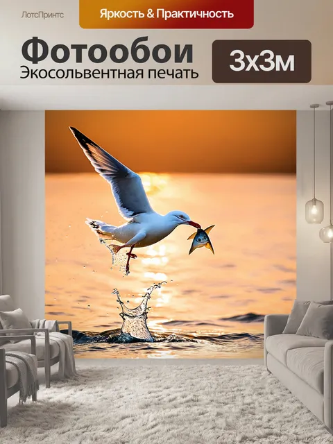 Фотообои чайка, ловящая рыбу в воздухе, капли воды, динамическая поза, закат, золотистые лучи света
