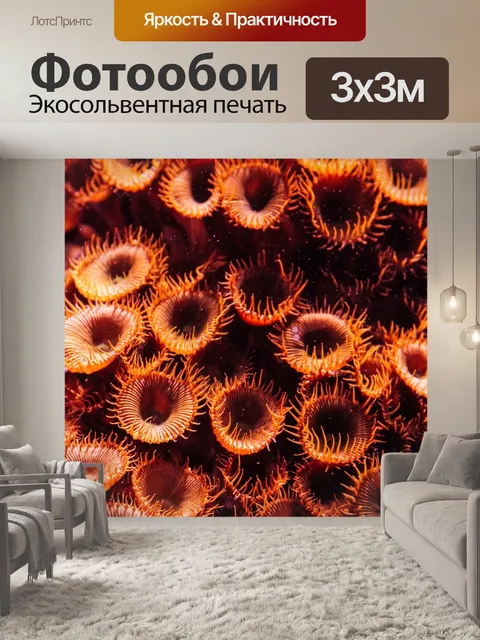 Фотообои Коралл