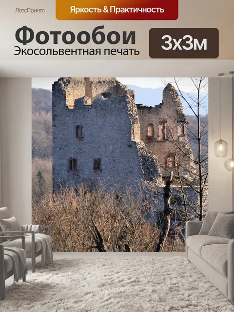 Фотообои Черный лес