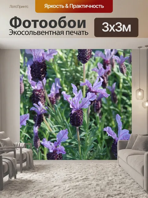 Фотообои Лаванда