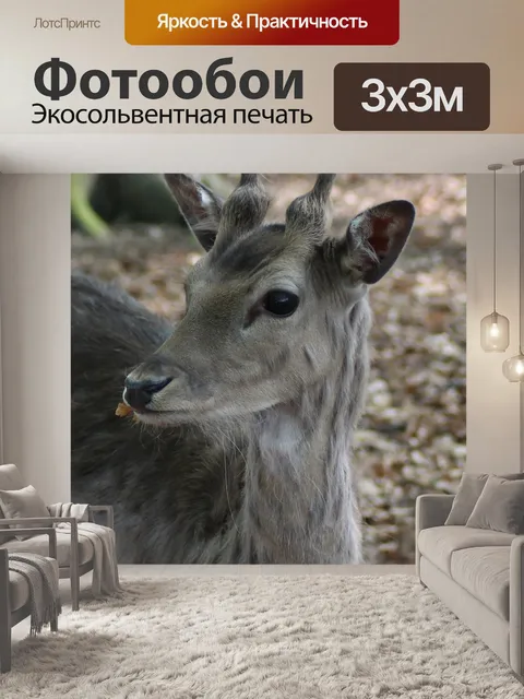 Фотообои Олень